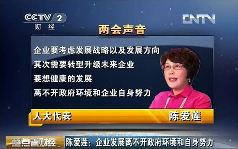 央視2套“兩會聲音”播出李藝連董事長采訪