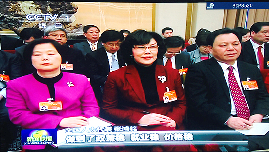 【央視新聞聯播】張德江參加廣西代表團審議